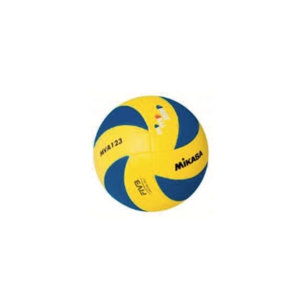 Volleyball, Size 5 Match Ball