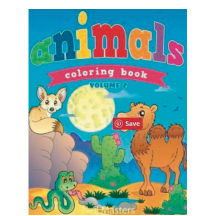 Junior Colouring Book