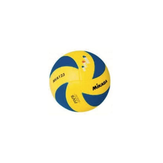 Volleyball, Size 5 Match Ball